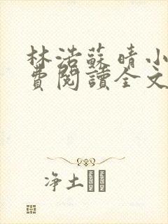 林浩苏晴小说免费阅读全文最新章节