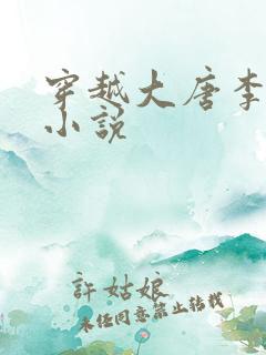 穿越大唐李辰的小说