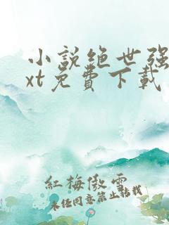 小说绝世强龙txt免费下载