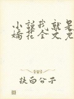 小说我就是如此娇花全文免费阅读