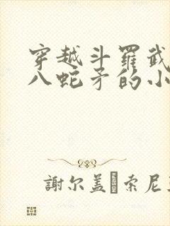 穿越斗罗武魂丈八蛇矛的小说