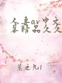 人妻av中文字幕精品久久久