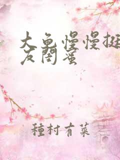 大龟慢慢挺进女友闺蜜