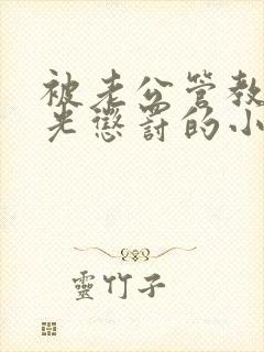 被老公管教打耳光惩罚的小说