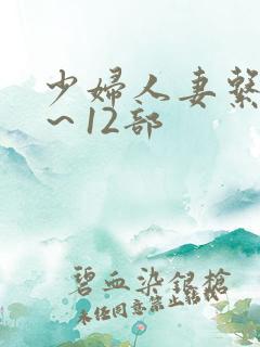 少妇人妻系列1~12部