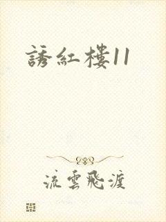 诱红楼11
