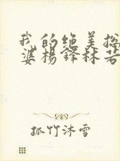 我的绝美总裁老婆杨锋林若彤