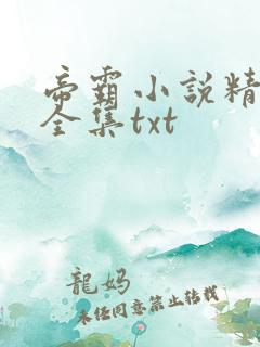 帝霸小说精校版全集txt