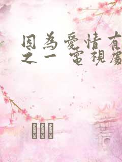 因为爱情有幸福之一 电视剧