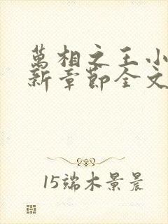 万相之王小说最新章节全文免费阅读