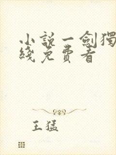 小说一剑独尊在线免费看