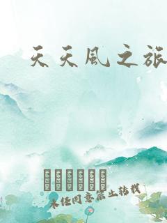 天天风之旅辅助