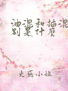 油混和插混的区别是什么