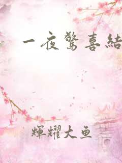 一夜惊喜结局
