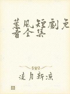 叶风短剧免费观看全集