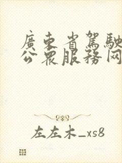 广东省驾驶培训公众服务网查学时深