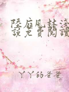 陆庭风林浅浅小说免费阅读