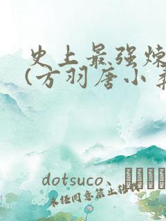 史上最强炼气期(方羽唐小柔)