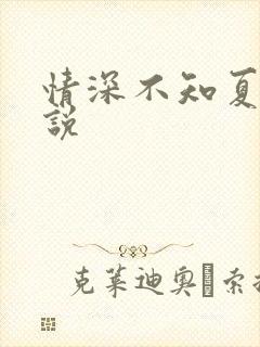 情深不知夏晚小说