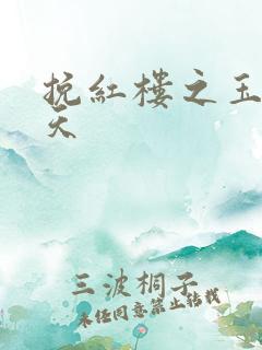 挽红楼之玉舞九天