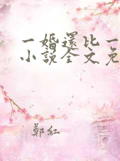 一婚还比一婚高小说全文免费