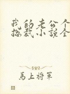 我的老公个个是总裁小说全文免费阅读