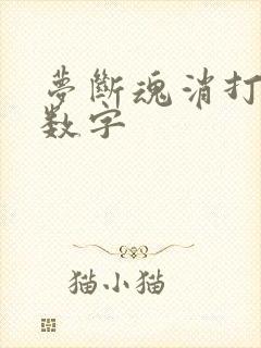 梦断魂消打三个数字