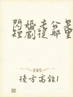 闪婚老公是总裁短剧从哪里看全片