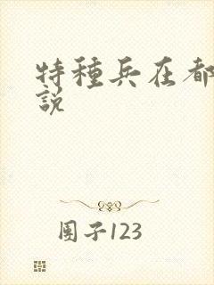 特种兵在都市小说