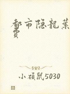 都市隐龙叶辰免费