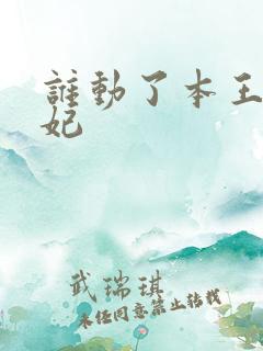 谁动了本王的悍妃
