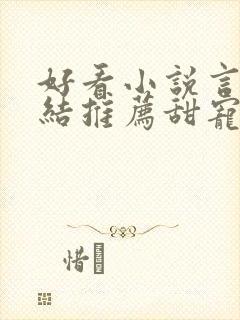 好看小说言情完结推荐甜宠文