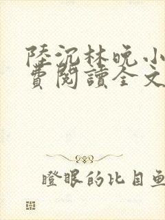 陆沉林晚小说免费阅读全文最新章节