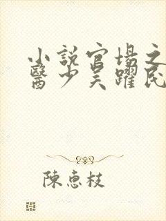 小说官场之风流医少吴跃民在线阅读