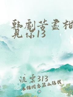 韩剧苦尽柑来遇见你13