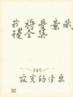 我将爱意藏在身后全集