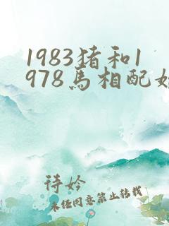 1983猪和1978马相配婚姻如何