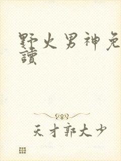 野火男神免费阅读