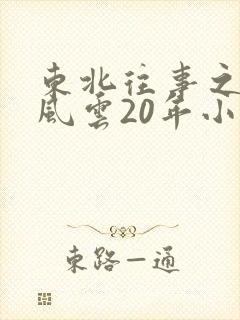 东北往事之黑道风云20年小说