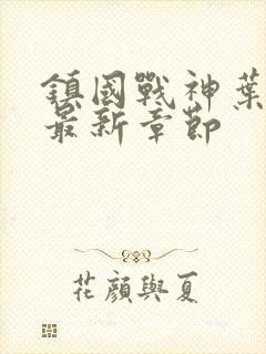 镇国战神叶君临最新章节