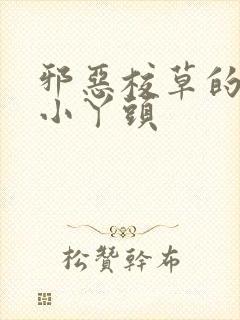 邪恶校草的拽拽小丫头