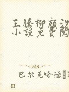 王腾柳颜汐穿越小说免费阅读