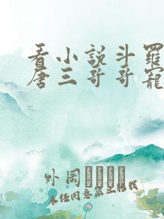 看小说斗罗:被唐三哥哥宠上天