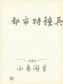 都市特种兵任天