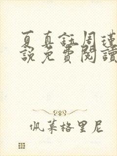 夏真钰周瑾宇小说免费阅读