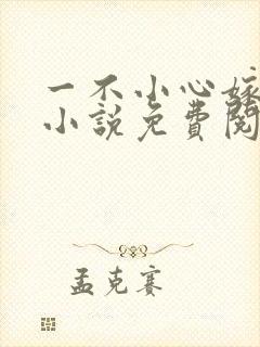 一不小心嫁总裁小说免费阅读