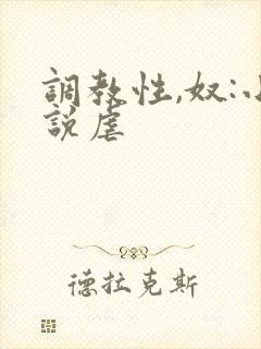调教性,奴:小说虐