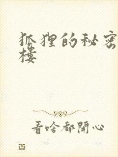 狐狸的秘密19楼