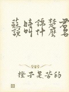 苏时锦楚君彻小说叫什么名字