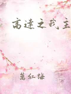 高达之我主沉浮